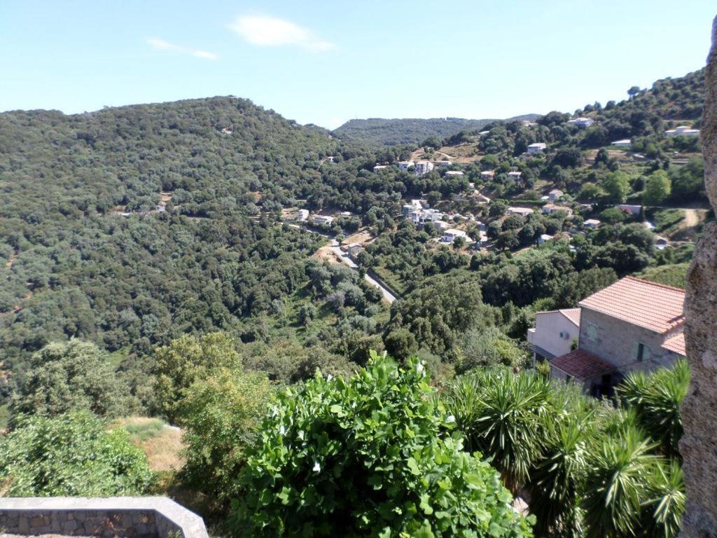 Appartement De Charme Entre Mer Et Montagne Sollacaro Zewnętrze zdjęcie
